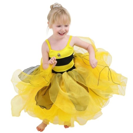 Bee Fairy Bug Costume