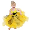 Bee Fairy Bug Costume