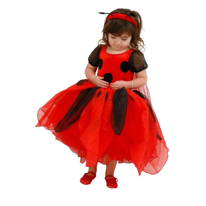 Seconds Quality Ladybird Bug 
